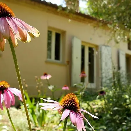 Casa Rustica-romantica Holiday home