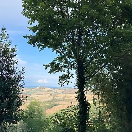 Casa Rustica-romantica * Mombaroccio