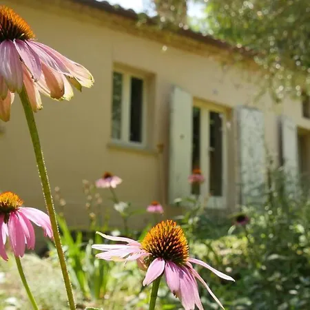 Holiday home Casa Rustica-romantica *